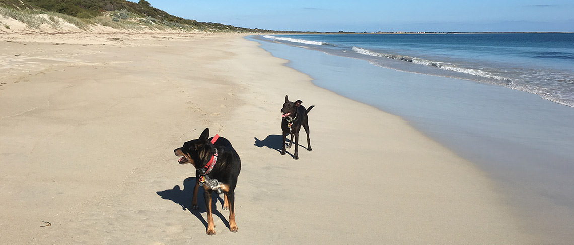 port kennedy beach