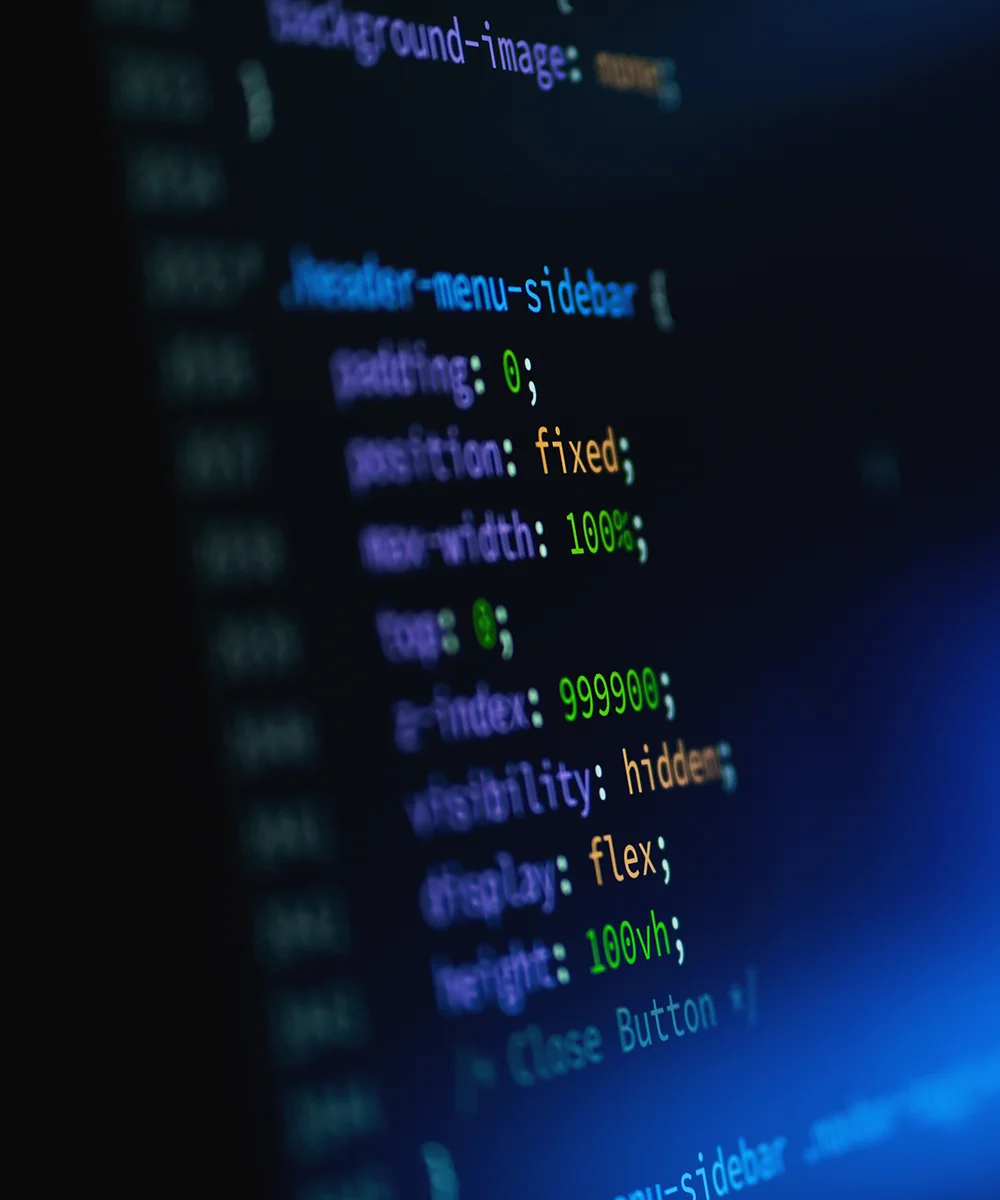 services-web-development